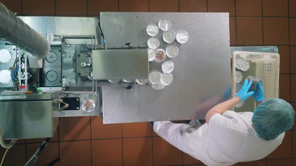 Top View of a Female Worker Packing Boxes with Bread Crumbs