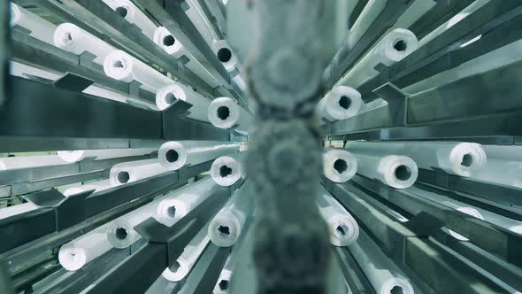 Rolls of Paper Towels Stored at a Factory