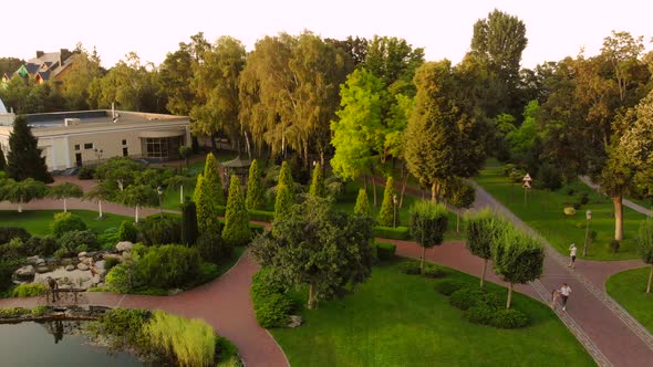 Aerial View of Beautiful Summer Park.