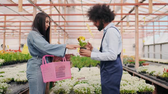 Modern Eco Supermarket or Organic Store