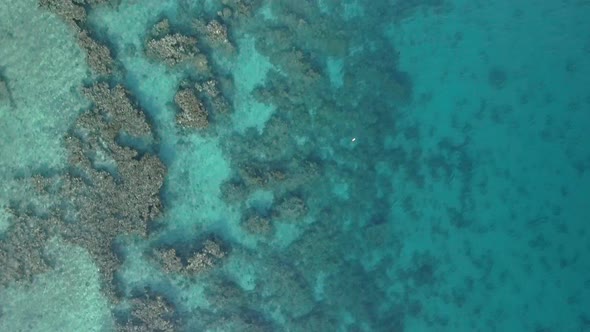 Aerial footage of the Coral Reef Nature Reserve, Eilat Israel.