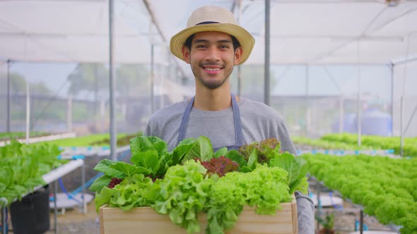 Portrait of Asian farmer guy carrying box of vegetables green salad in hydroponic greenhouse farm.