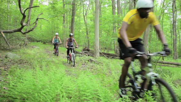 Four cyclists riding through forest