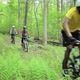 Four cyclists riding through forest - VideoHive Item for Sale