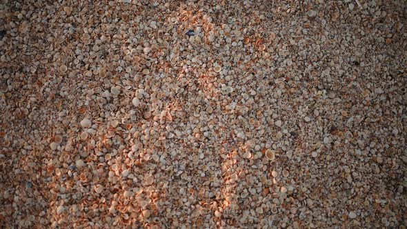 Beach Pebbles on Shore Sea at Sunset Natural Background