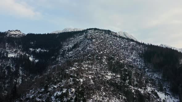 Snowy Forest At Tatra Mountains During Winter In Europe. - aerial