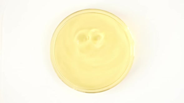 Slow Motion of Transparent Yellow Cosmetic Fluid Dripping Into the Glass Petri Dish