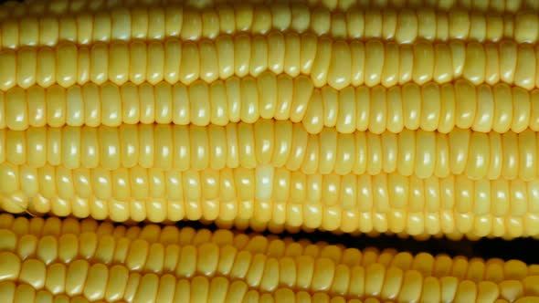 4K Footage top view fresh corn