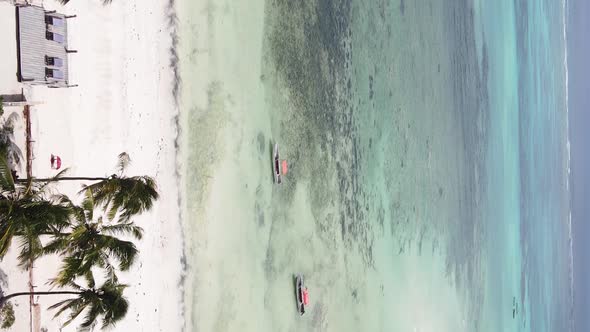 Zanzibar Tanzania  Vertical Video of the Ocean Near the Coast Slow Motion