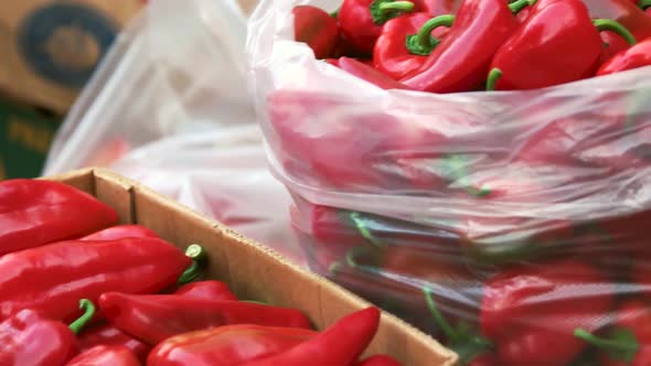 Red Pepper in Street Market Box