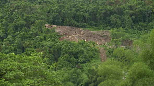 Full View of a Stone Pit Site Surrounded By Forest