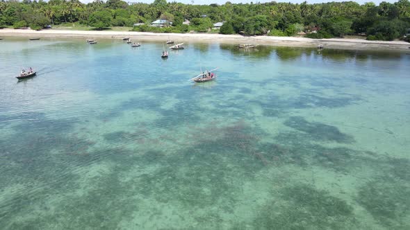 Boats in the Ocean Near the Coast of Zanzibar Tanzania