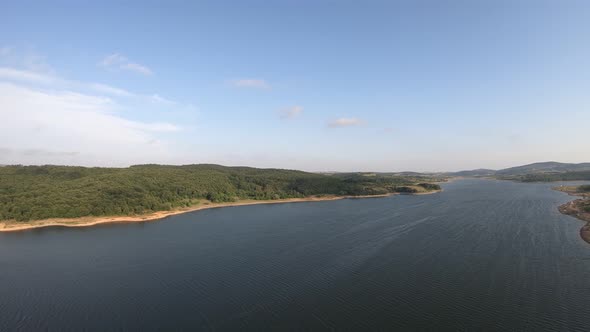 Aerial Lake and Forest Shore