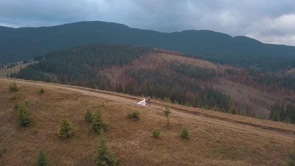 Newlyweds Bride Groom Running on Mountain Slope Holding Hands Wedding Couple Family Aerial View