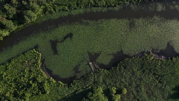 Top View of the Svisloch River in the City's Loshitsa Park with Lilies at Sunset and a Small Wooden