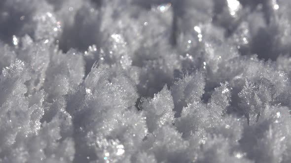 Sharp Rime Ice Crystals and Fragile Thin Hoar Frost in Sunny Winter Day