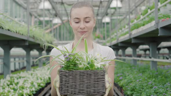 Middle Shot of Cute Blond Young Woman Stretching Flowers in Basket To Camera. Portrait of Confident