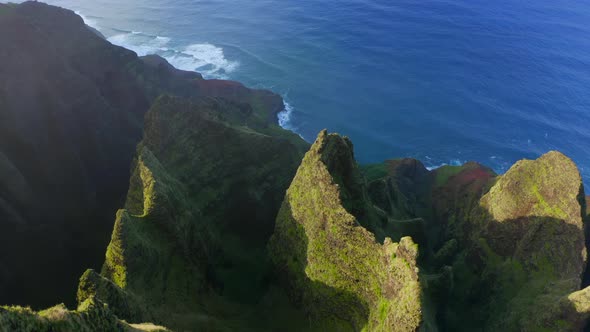 Tropical Hawaii Island Pure Nature