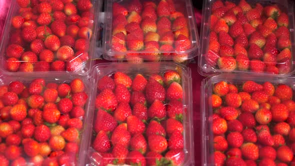 Plastic Boxes Filled with Fresh Ripe Strawberries on Counter of Fruit Market