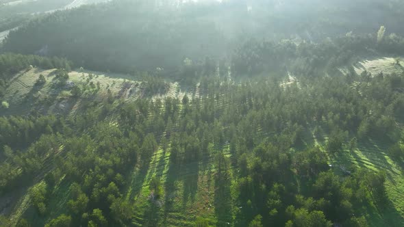 Foggy morning in the mountains aerial view 4 K Turkey