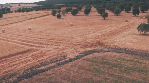 Rural Italian countryside outside Rome, Italy. Aerial drone view