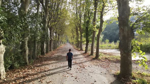 Walking Road Autumn