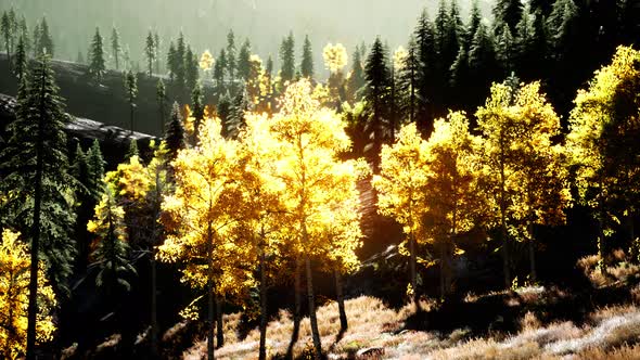 Bright Sunset in the Mountains alt