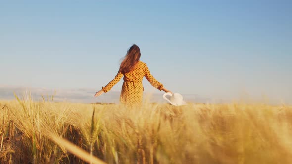 Pregnant woman in the rays of the sunset in the field