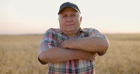 Old Farmer in Agricultural Field at Sunset in Summer