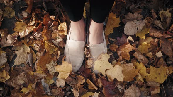 Legs of Woman Walking in Autumn Park