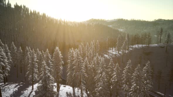 Colorful Winter Sunrise in the Mountains