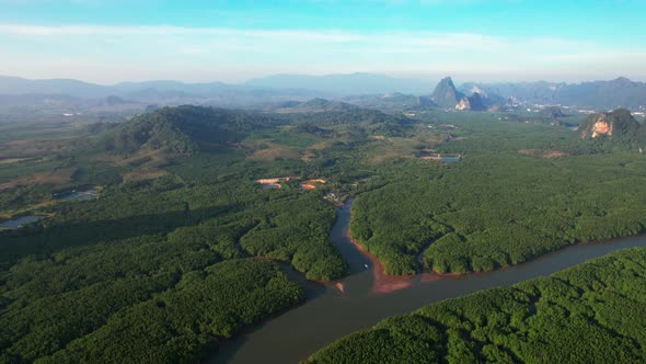 Bird's Eye View Drone Shot of Beautiful River with Natural Scenery in Mangrove Forest Boat Jetty and