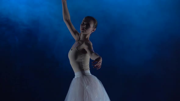 Ballerina in Tutu Performing Ballet. Close Up, Slow Motion.