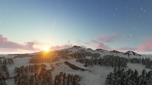 View Of Pine Trees Under Snow