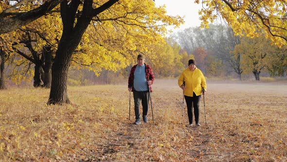 Mature Couple Nordic Walking on Pathway in the Meadow