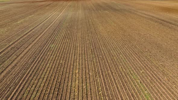 Aerial view of plowed field in summer.