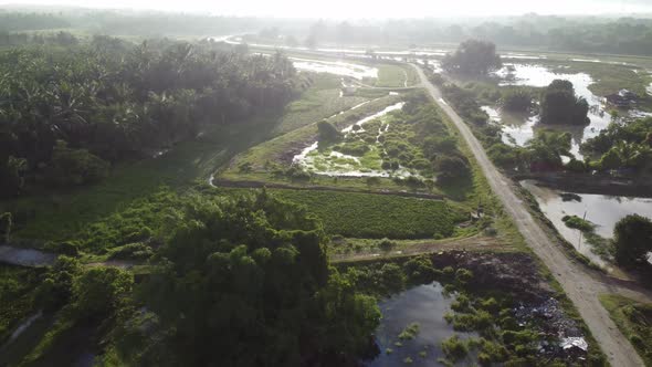 Aerial view misty fog morning at rural area