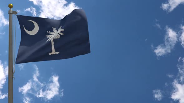 South Carolina State Flag (Usa) On Flagpole