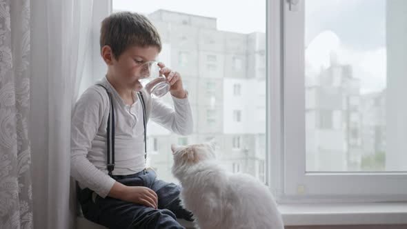 Health Care, Cute Boy Drinks Clean Cool Drinking Water From Glass Cup While Sitting By Window in