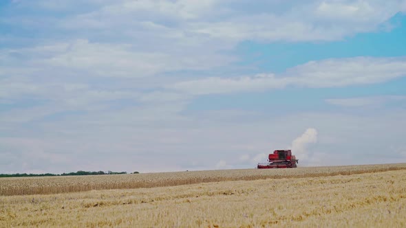Harvest time. A combine harvester working in a wheat field
