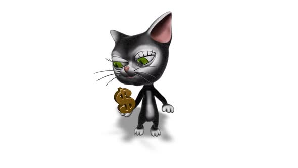 3D Kitty Cat Show Dollar  Looped on White