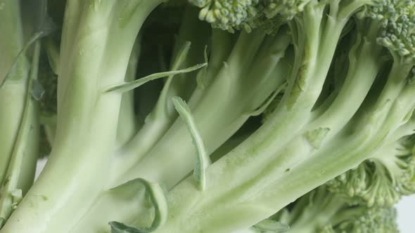 Details of broccoli Brassica oleracea 4K  footage