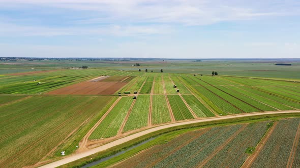 Agricultural Land with Green Crops From Above