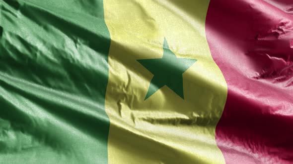 Senegal textile flag waving on the wind. Slow motion. 20 seconds loop.