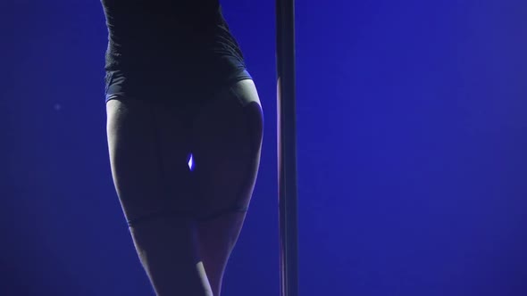 Passionate Pole Dance Performed By a Professional Striptease Dancer
