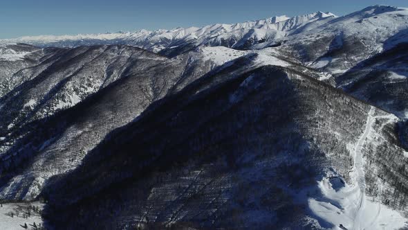 Snowy Trees and Mountains