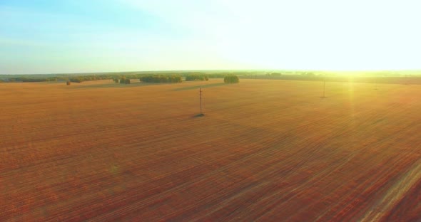 Aerial View. Mid-air Flight Over Yellow Wheat Rural Field