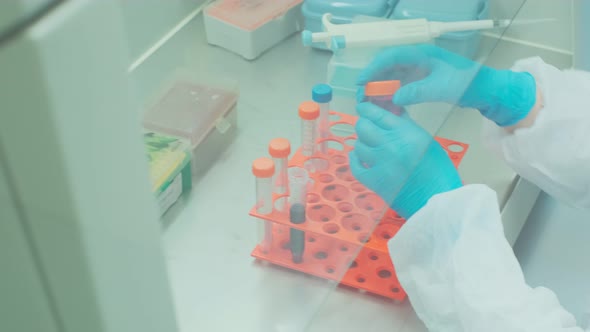 Work on Samples of Substances is Carried Out in the Laboratory