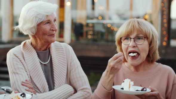 Grandparents Eating Cake and Chatting at Outdoor Birthday Party