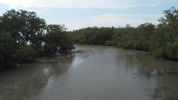 Fly over river near mangrove forest